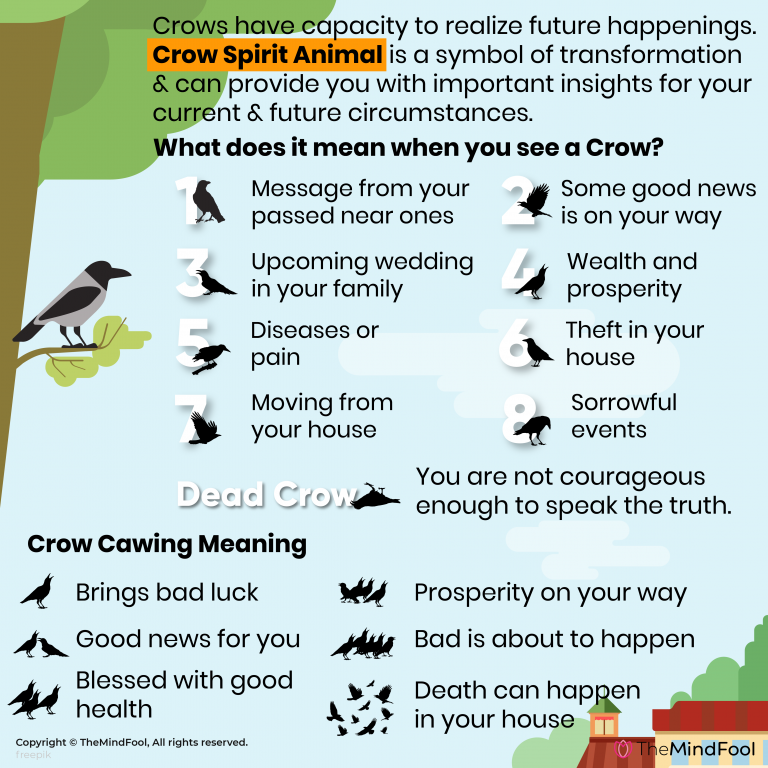 What does the crow symbolize?