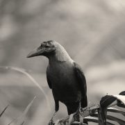 post