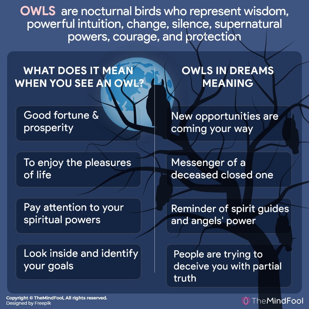 Owl Symbolism – Everything You Need to Know