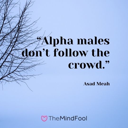 “Alpha males don’t follow the crowd.” -- Asad Meah
