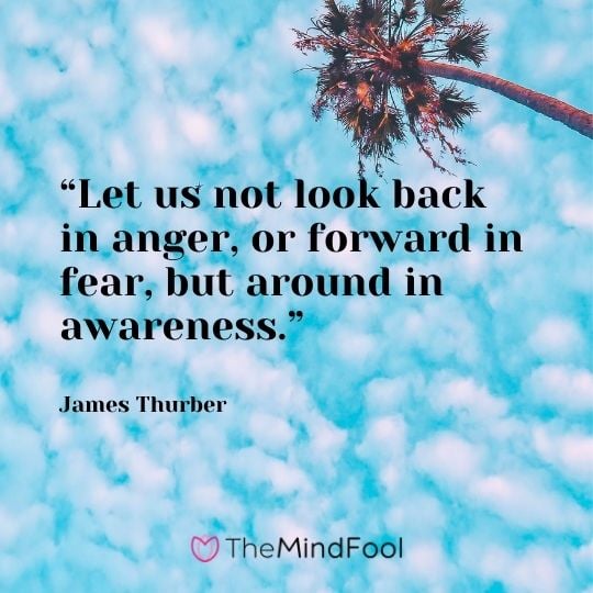 “Let us not look back in anger, or forward in fear, but around in awareness.” – James Thurber