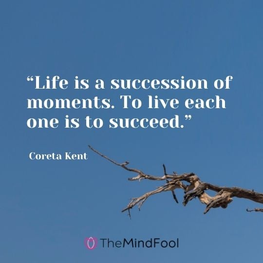 “Life is a succession of moments. To live each one is to succeed.” – Coreta Kent