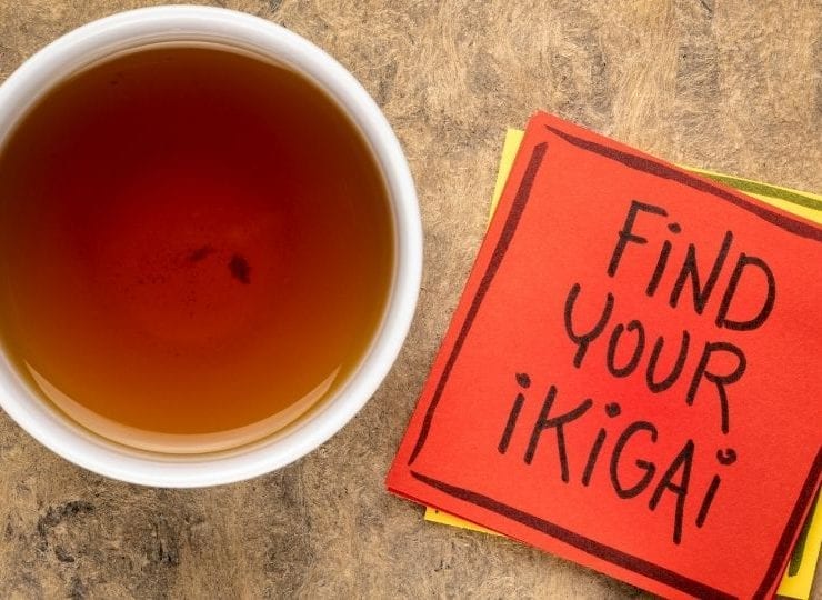 Discovering Ikigai: The Japanese Concept of a Fulfilling Life