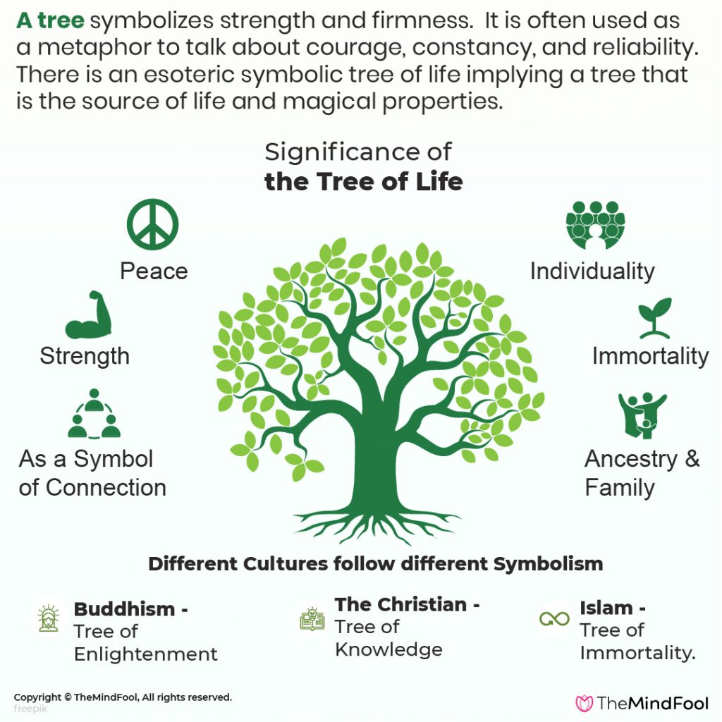 Tree of Life Meaning : What is it and its Symbolism | TheMindFool