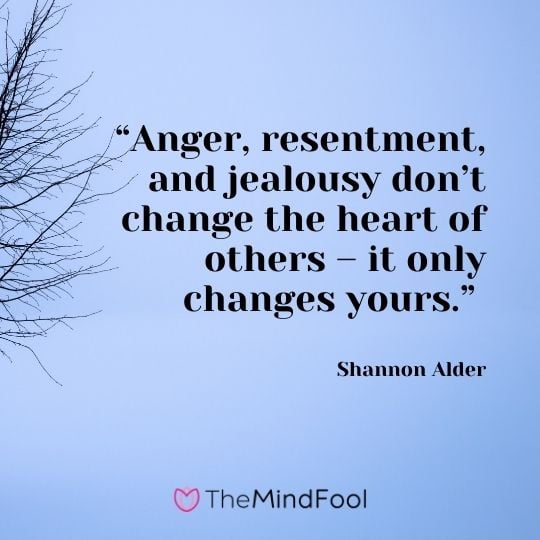 “Anger, resentment, and jealousy don’t change the heart of others – it only changes yours.” – Shannon Alder