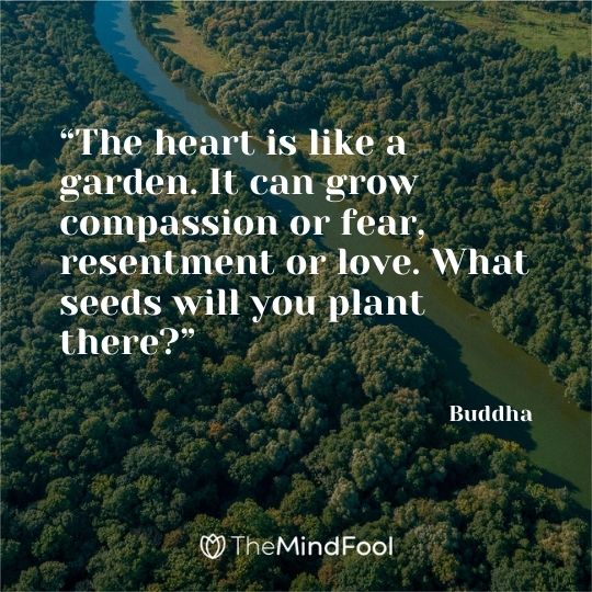 “The heart is like a garden. It can grow compassion or fear, resentment or love. What seeds will you plant there?” – Buddha