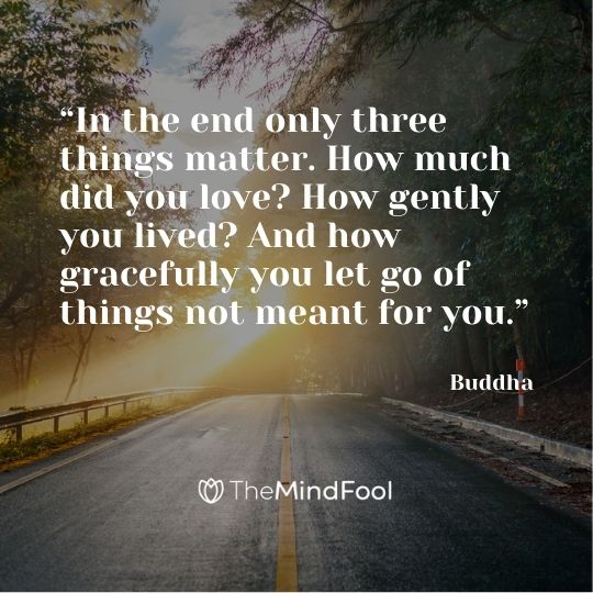 “In the end only three things matter. How much did you love? How gently you lived? And how gracefully you let go of things not meant for you.” – Buddha