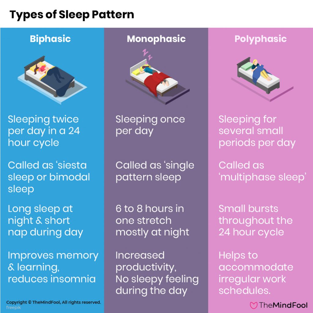 Biphasic vs Monophasic vs Polyphasic sleep