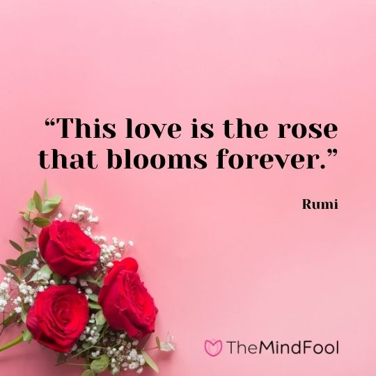 “This love is the rose that blooms forever.” – Rumi 