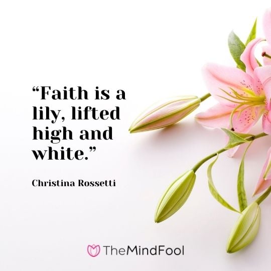 Faith is a lily, lifted high and white. -Christina Rossetti