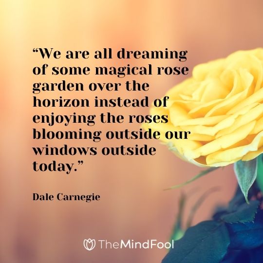 “We are all dreaming of some magical rose garden over the horizon instead of enjoying the roses blooming outside our windows outside today.” – Dale Carnegie