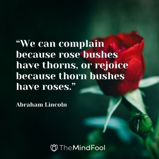 “We can complain because rose bushes have thorns, or rejoice because thorn bushes have roses.” – Abraham Lincoln 