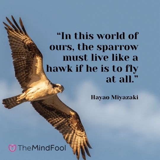 “In this world of ours, the sparrow must live like a hawk if he is to fly at all.” – Hayao Miyazaki