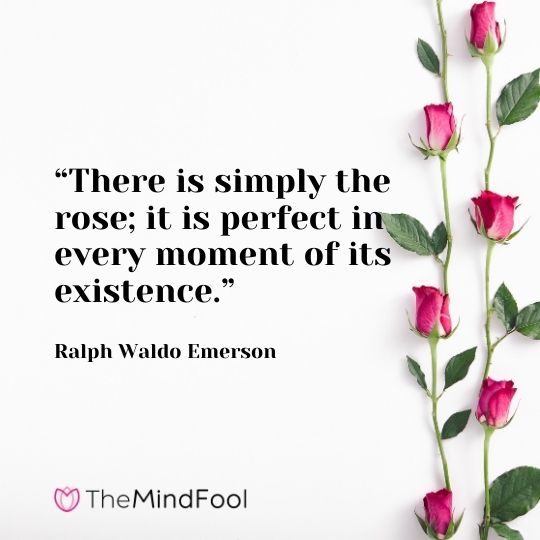 “There is simply the rose; it is perfect in every moment of its existence.” – Ralph Waldo Emerson 