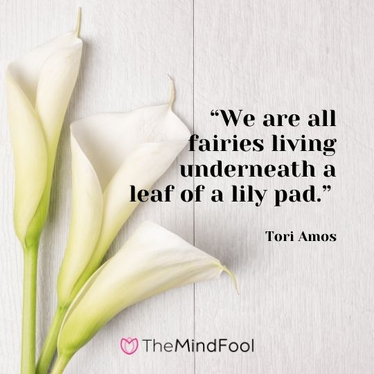 We are all fairies living underneath a leaf of a lily pad. -Tori Amos