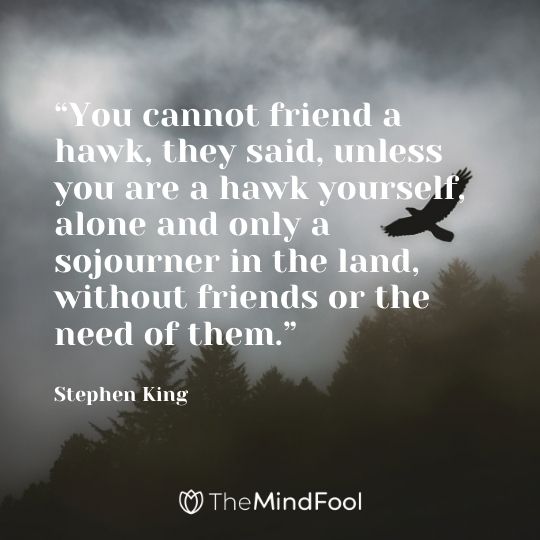 “You cannot friend a hawk, they said, unless you are a hawk yourself, alone and only a sojourner in the land, without friends or the need of them.” – Stephen King