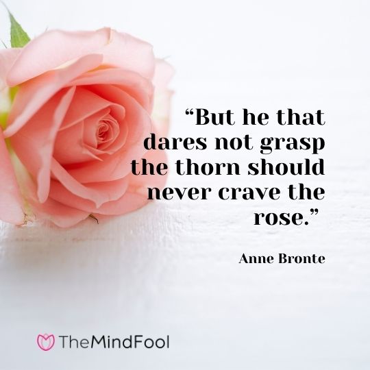 “But he that dares not grasp the thorn should never crave the rose.” – Anne Bronte