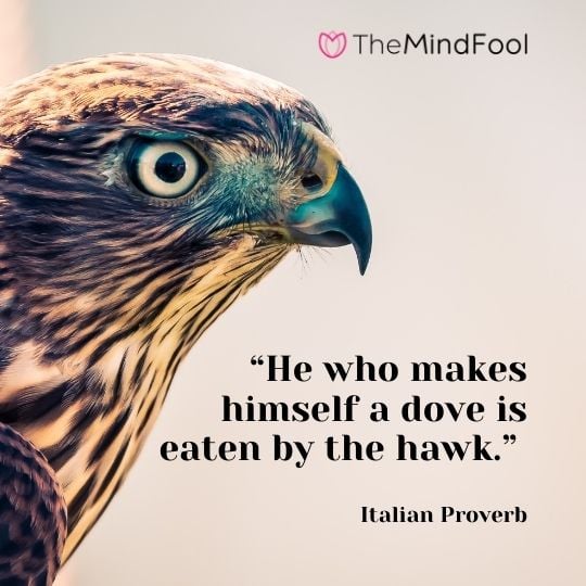 “He who makes himself a dove is eaten by the hawk.” – Italian Proverb