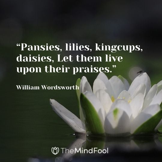 Pansies, lilies, kingcups, daisies, Let them live upon their praises. -William Wordsworth