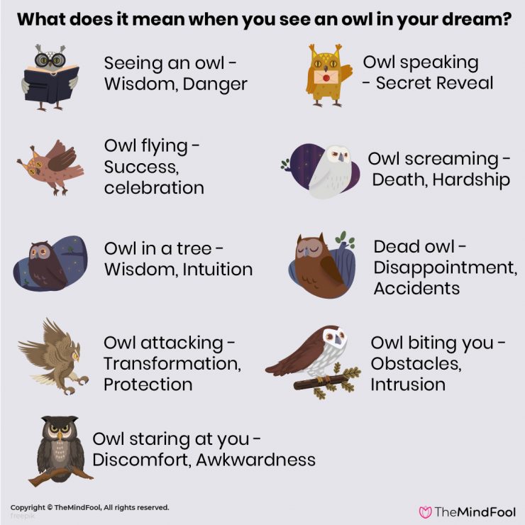 Owl in Dreams 52 Types & Their Meanings Owl Dream Meaning