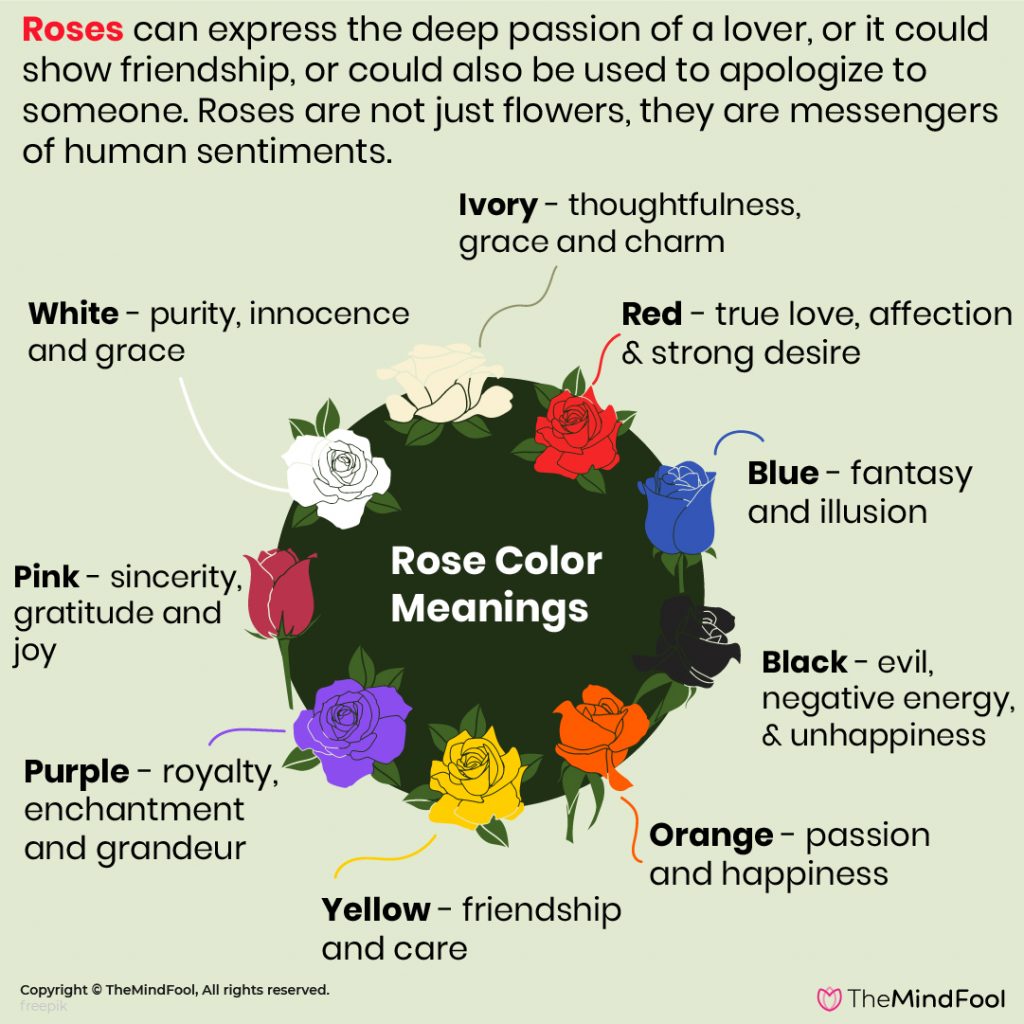 Rose Flower Symbolism & The Complete Guide to Rose Color Meanings