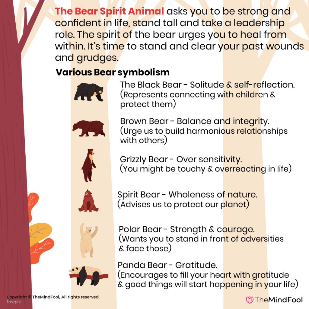 Bear Spirit Animal Traits