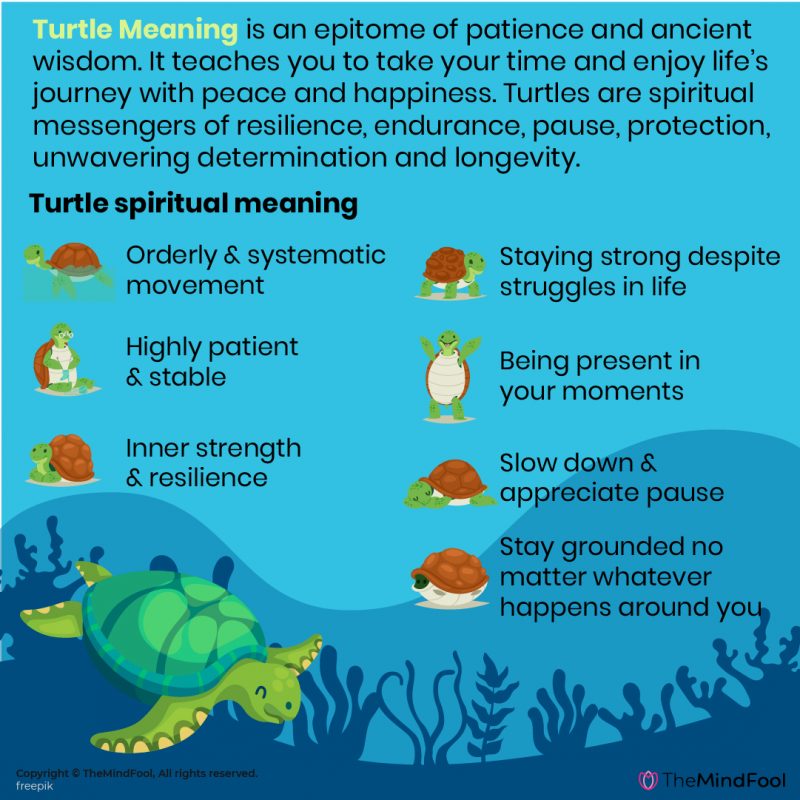 turtle figurine meaning