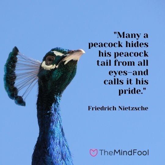 "Many a peacock hides his peacock tail from all eyes–and calls it his pride." - Friedrich Nietzsche