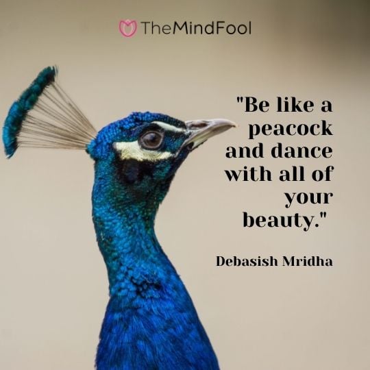 "Be like a peacock and dance with all of your beauty." - Debasish Mridha