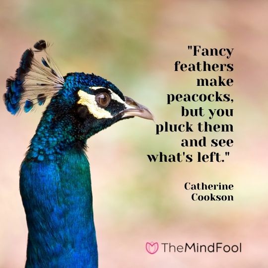 "Fancy feathers make peacocks, but you pluck them and see what's left." - Catherine Cookson
