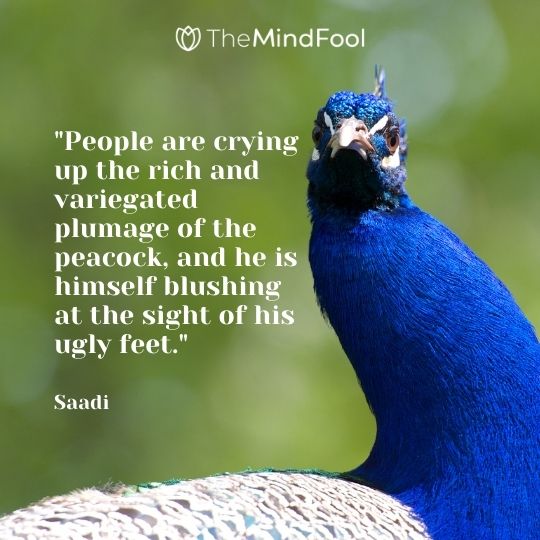 "People are crying up the rich and variegated plumage of the peacock, and he is himself blushing at the sight of his ugly feet." - Saadi