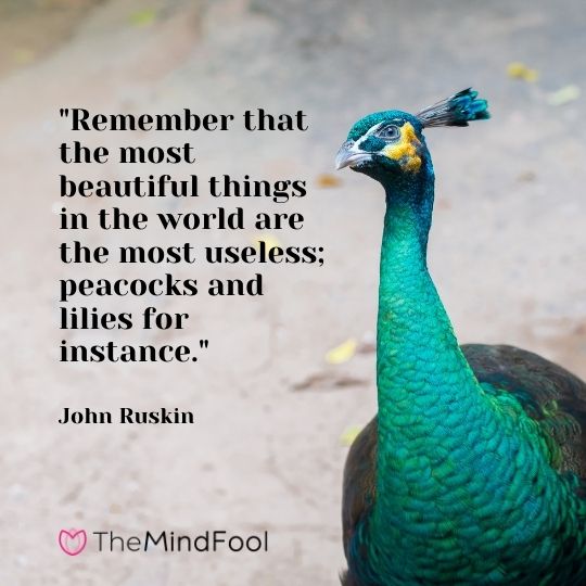 "Remember that the most beautiful things in the world are the most useless; peacocks and lilies for instance." - John Ruskin 