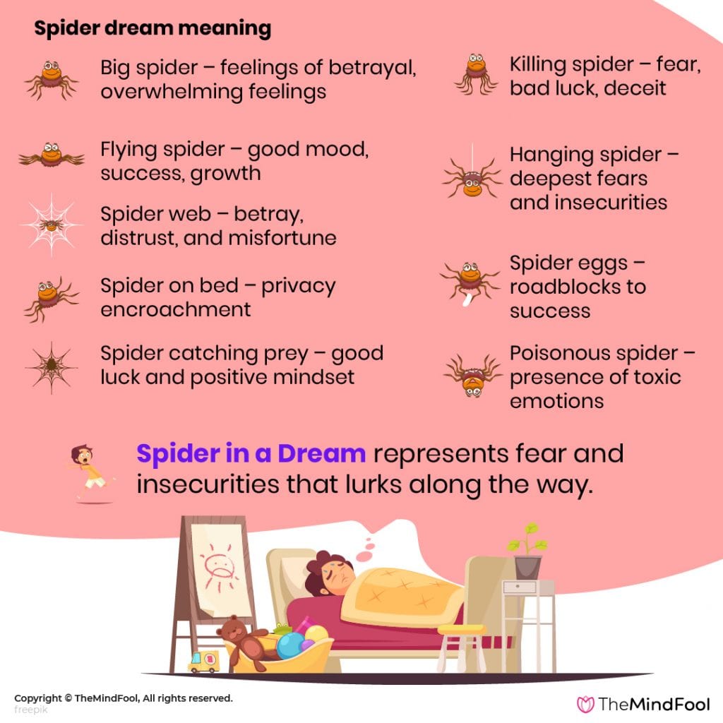 47 Types of Dreams about Spiders & What They Mean