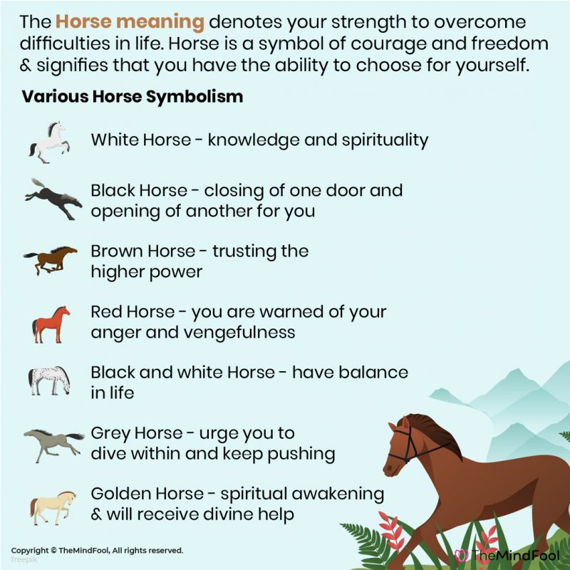 horse-symbolism-horse-spirit-animal-horse-meaning-white-horse-meaning