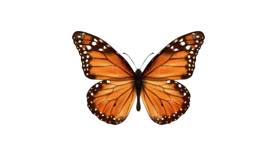 Hope Symbol: Butterfly Icon