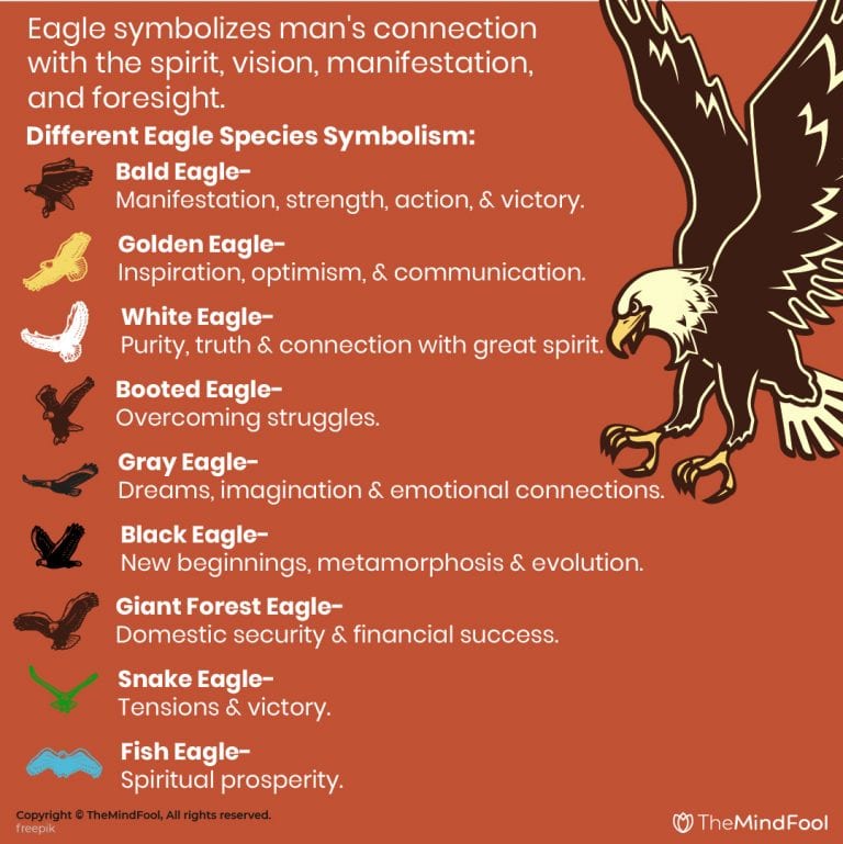 Eagle Meaning and Symbolism A Comprehensive Guide TheMindFool