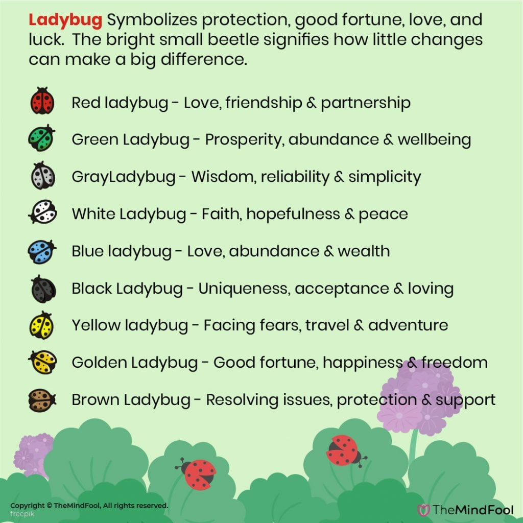 Ladybug Meaning | Ladybug Symbolism | Ladybug Spiritual Meaning